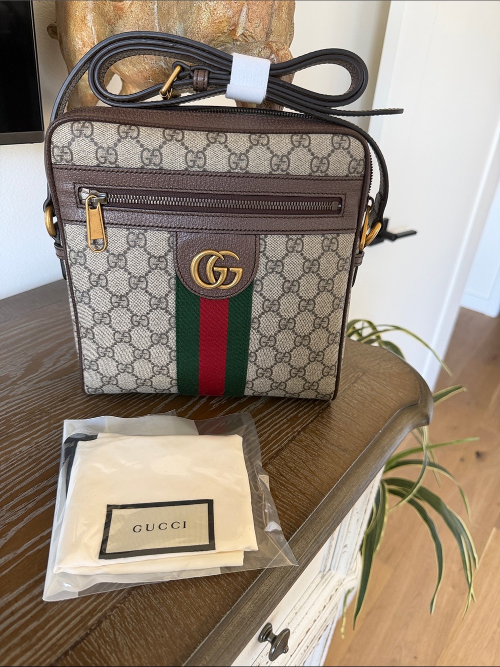 Gucci Ophidia Messenger Bag